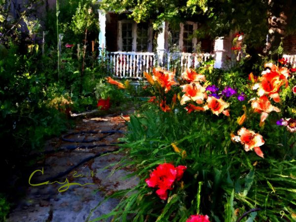 Garden on Glen Oak